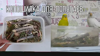 Копошилка для попугаев |Volnistiki lifee