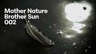 Mother Nature, Brother Sun 002