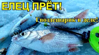 Первый лед 2019-2020! Ловля ельца на безмотылку на реке! Зимняя рыбалка 2019!