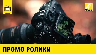 Фотопроект "Очарование ржавчины". AF-S VR Micro-NIKKOR 105mm f/2.8G IF-ED