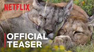 Our Planet II | Official Teaser | Netflix