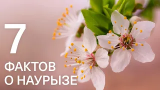 7 фактов о Наурызе