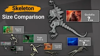 Skeleton size comparison l Data collection | Comparison of Animal Skeletons Size, Living and Extinct