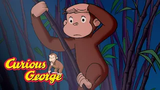 George at the Zoo! 🐵Curious George 🐵Compilation 🐵Kids Movies 🐵Videos for Kids