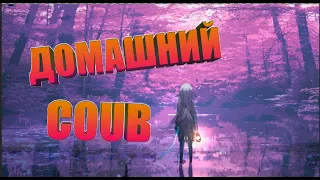 Домашний COUB #67