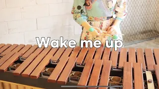 "Wake Me Up" - Avicii - Marimba Loop (yejiroo marimba Cover Music Video)