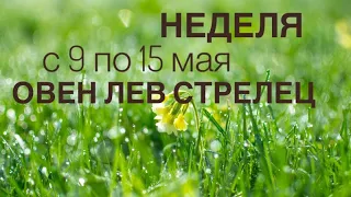 Таро прогноз на неделю с 9 по 15 мая #овен #лев #стрелец