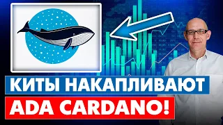 Обновленный прогноз ADA Cardano 2022 | Киты накапливают ADA!