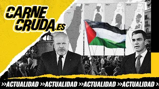 T10x127 - Qué significa reconocer el Estado Palestino (CARNE CRUDA)