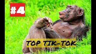 ТОП ПРИКОЛЫ 2021!№4 СМЕШНЫЕ ВИДЕО ИЗ ТИК ТОК! РЖАЧ И СМЕХ!