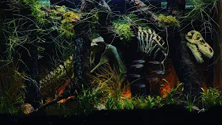 T-REX forest - 60l aquarium with the king of the dinosaurs