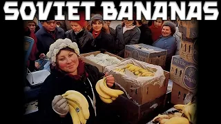 Why Soviet Bananas Were So Hard to Find and So Crazy Expensive?