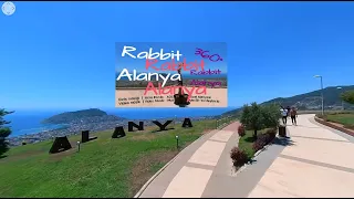 Alanya Rabbit 360° 1