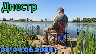 Рыбалка на Днестре 2023г.Карась на фидер.Бомбезный жаренный карась .#рыбалка2023#днестр#карась#фидер