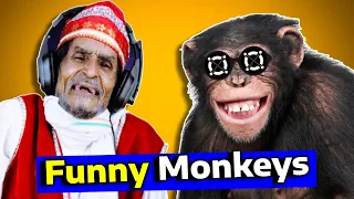 Hilarious Monkey Videos That Made These Villagers Lose Their Minds! 😜 Must-Watch Reactions ! Tribal