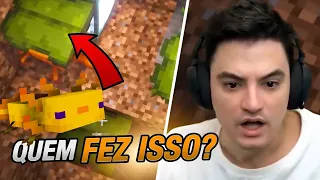 O GUAXINIM ATACOU OS AXOLOTES NA SAGA MINECRAFT