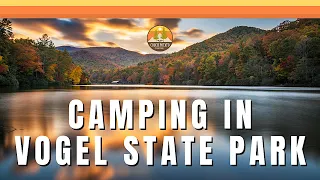 Vogel State Park Campground Tour - Site #44 | Creek Side Camping in Georgia