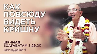 2020.03.14 - ШБ 3.29.20. Как повсюду видеть Кришну (Вриндаван) - Бхакти Вигьяна Госвами