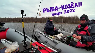 Рыбалка с лодки в МАРТЕ 2022. Спиннинг, джиг