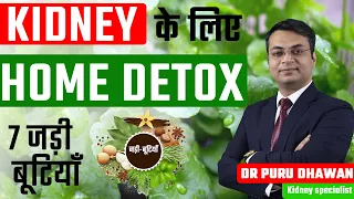 इन 7 जड़ी-बूटियों से करें किडनी डिटॉक्स | How to Detox Kidney Naturally at Home | Kidney Detox Herbs