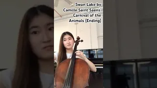 Swan Lake by Saint Saens’ cello (Ending) #cello #music #london  #cover #shorts #youtube #musicvideo