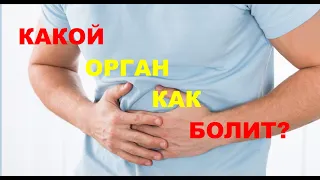 Боли в животе. Какие это боли? | Болит живот