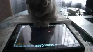 iPad специальная игра для котов
