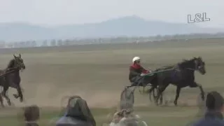 бега Заезд 3 лет- Райкова 2016  (Лошади-Horse–Animal-racing-конь-смотреть-онлайн-скачки)