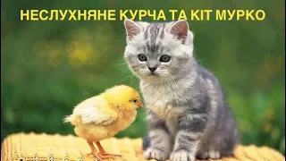 «Неслухняне курча та кіт Мурко» за творами В.О. Сухомлинського