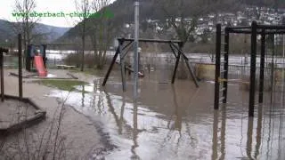 Hochwasser in Eberbach am Neckar 14.01.2011