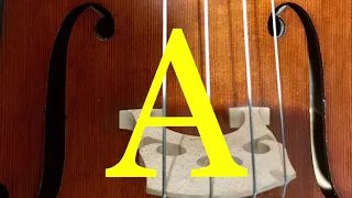 Cello Tuner - Open Strings
