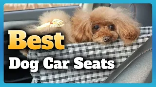 6 Best Dog Car Seats to Keep Your Dog Comfortable and Secure