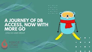 A Journey of DB Access, now with More Go