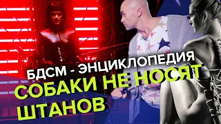 БДСМ ЭНЦИКЛОПЕДИЯ | Собаки не носят штанов - ОБЗОР ФИЛЬМА - Синяя дорожка