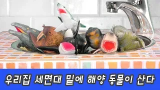 Sea animals under the wash basinㅣsea animal names for children, animals animationㅣCoCosToy