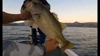 TOC Win! Lake Berryessa, Curse of the first cast fish