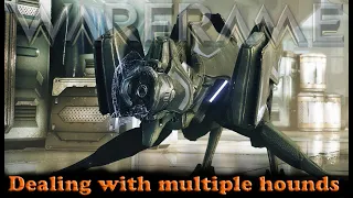 Warframe - Dealing With Multiple Hounds