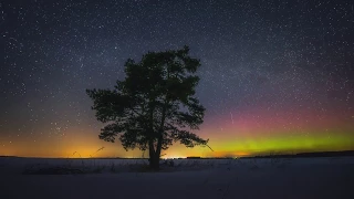 Северное сияние во Владимирской области - Timelapse 4K