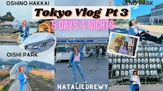 TOKYO VLOG Part 3 (FIRST TIME) - Day 4 + Day 5 - Exploring the MT FUJI Region, Ueno Park