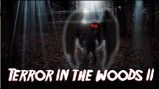 3 Stories of Terror In The Woods II