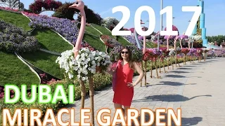 Парк цветов в Дубае: Miracle garden Dubai 2017