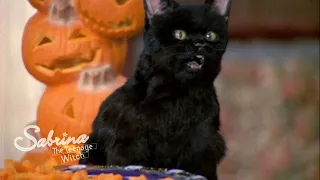 Sabrina Decides to Throw a Mortal Halloween Party!