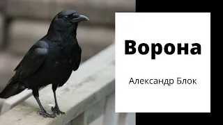 Ворона — Александр Блок