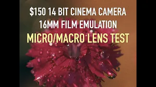 $150 14 BIT RAW CINEMA CAMERA 16MM FILM EMULATION CINEPRINT 16 CANON EOS M | MAGIC LANTERN | ARRI