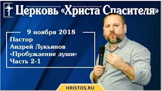 9 ноября 2018. Андрей Лукьянов - Семинар "Пробуждение души" - Часть 2-1