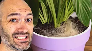 Plant YouTuber Reacts To Dumbest Plant Hacks