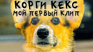 КОРГИ КЕКС. МОЙ ПЕРВЫЙ КЛИП!!