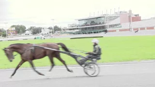 Yonkers Raceway welcomes our International Horses