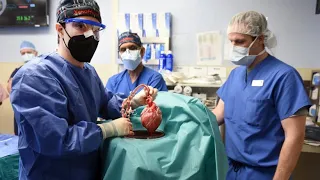 Schweineherz-Transplantation: 57-jähriger Patient verstirbt in Maryland