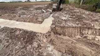 FAZENDO VALA PARA TIRAR ÁGUA DA ÁREA DE PLANTIO 🌱 Escavadeira hidráulica op iago
